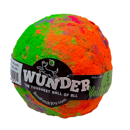 Best Fetch Toy