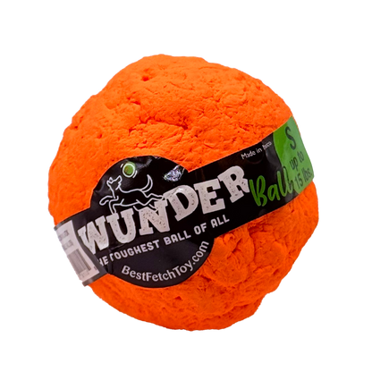 Best Fetch Toy