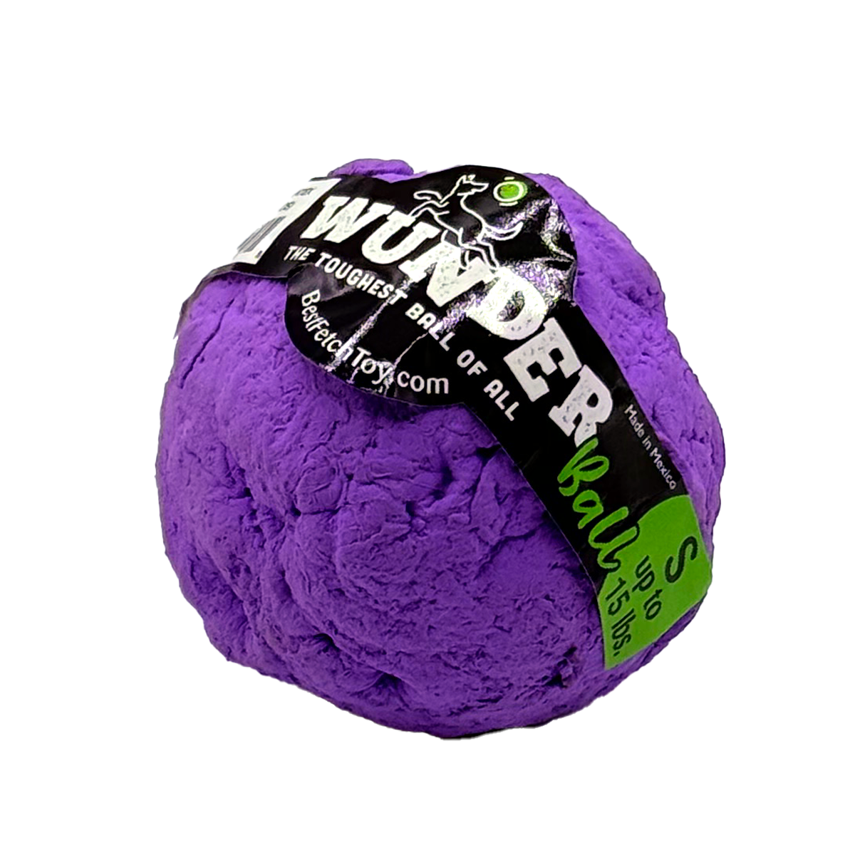 Best Fetch Toy