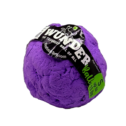 Best Fetch Toy
