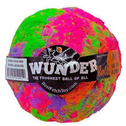 Best Fetch Toy