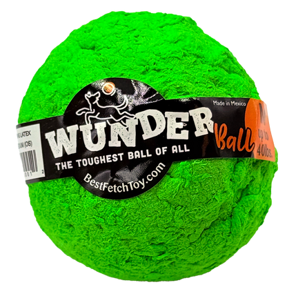 Best Fetch Toy