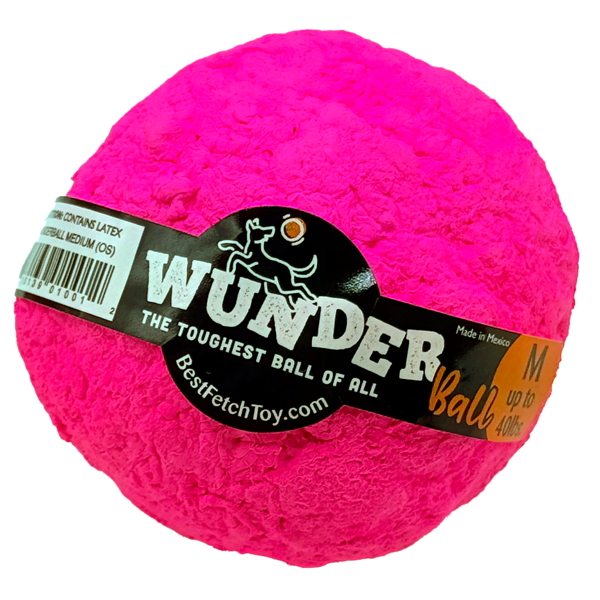 Best Fetch Toy