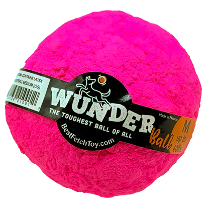 Best Fetch Toy