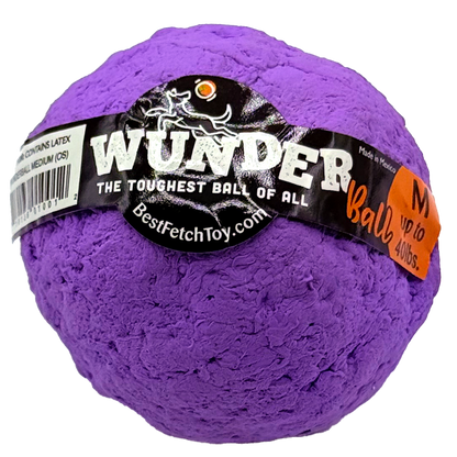Best Fetch Toy