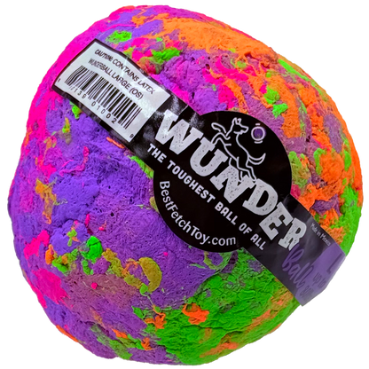 Best Fetch Toy