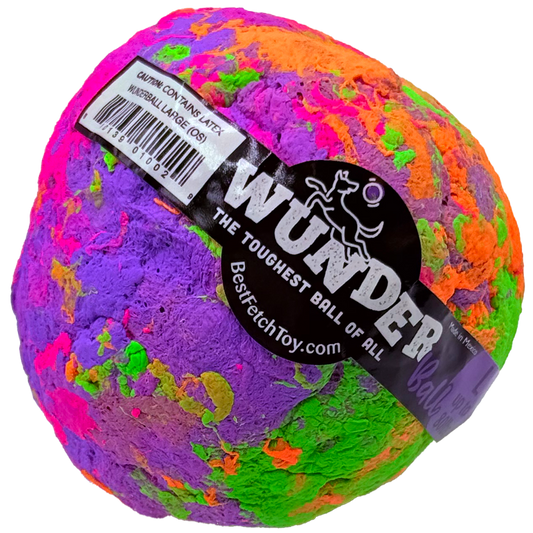 Best Fetch Toy