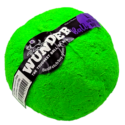 Best Fetch Toy