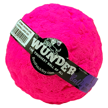 Best Fetch Toy