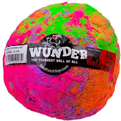 Best Fetch Toy