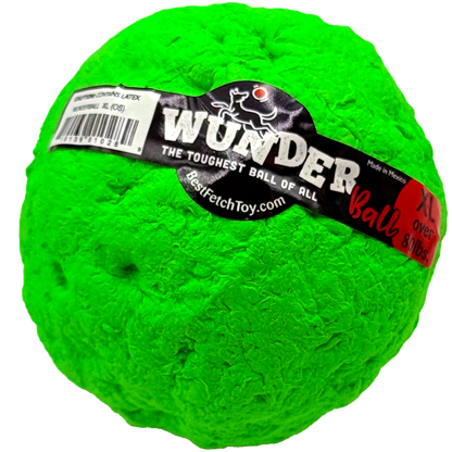 Best Fetch Toy