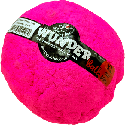 Best Fetch Toy