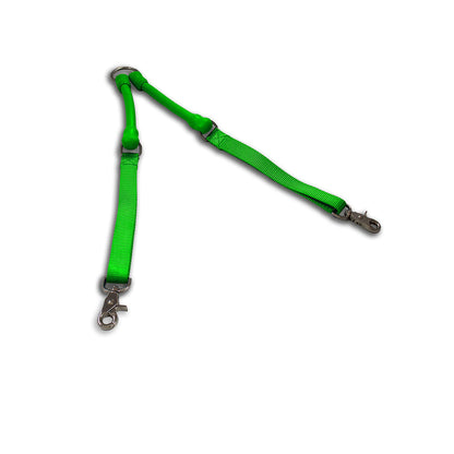 2 Dogs On 1 Leash