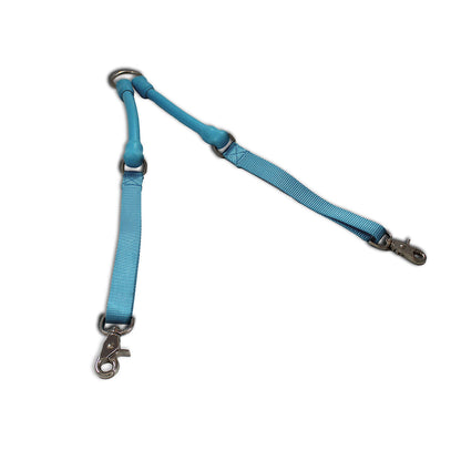 2 Dogs On 1 Leash