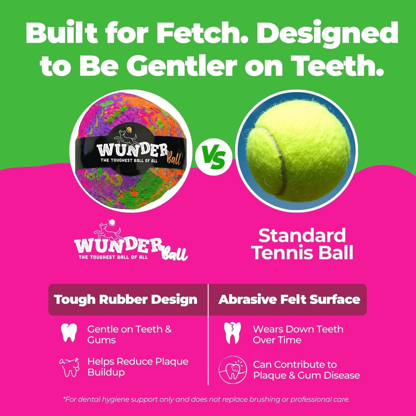 Best Fetch Toy