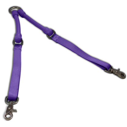 2 Dogs On 1 Leash
