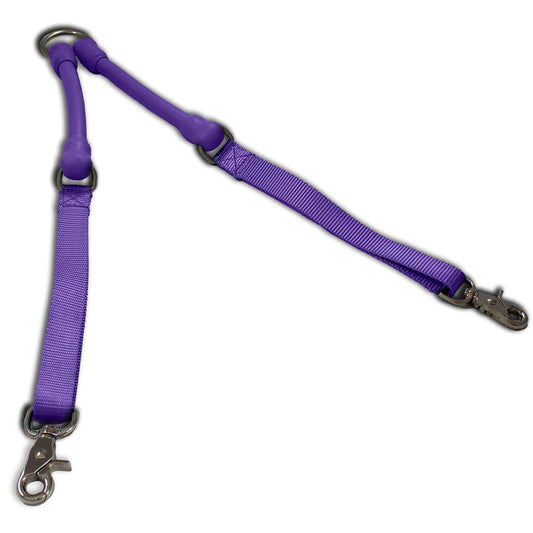 2 Dogs On 1 Leash
