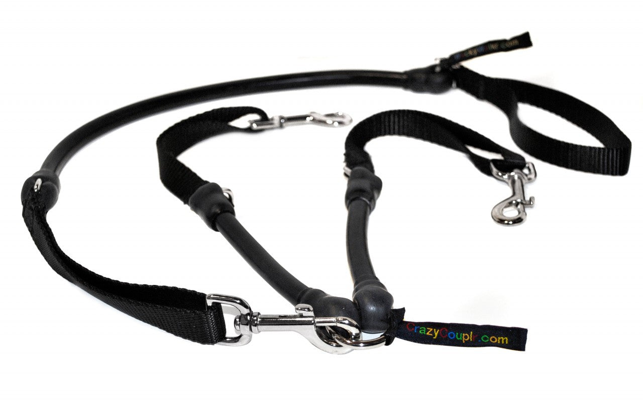 2 Dogs On 1 Leash