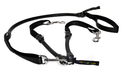 2 Dogs On 1 Leash