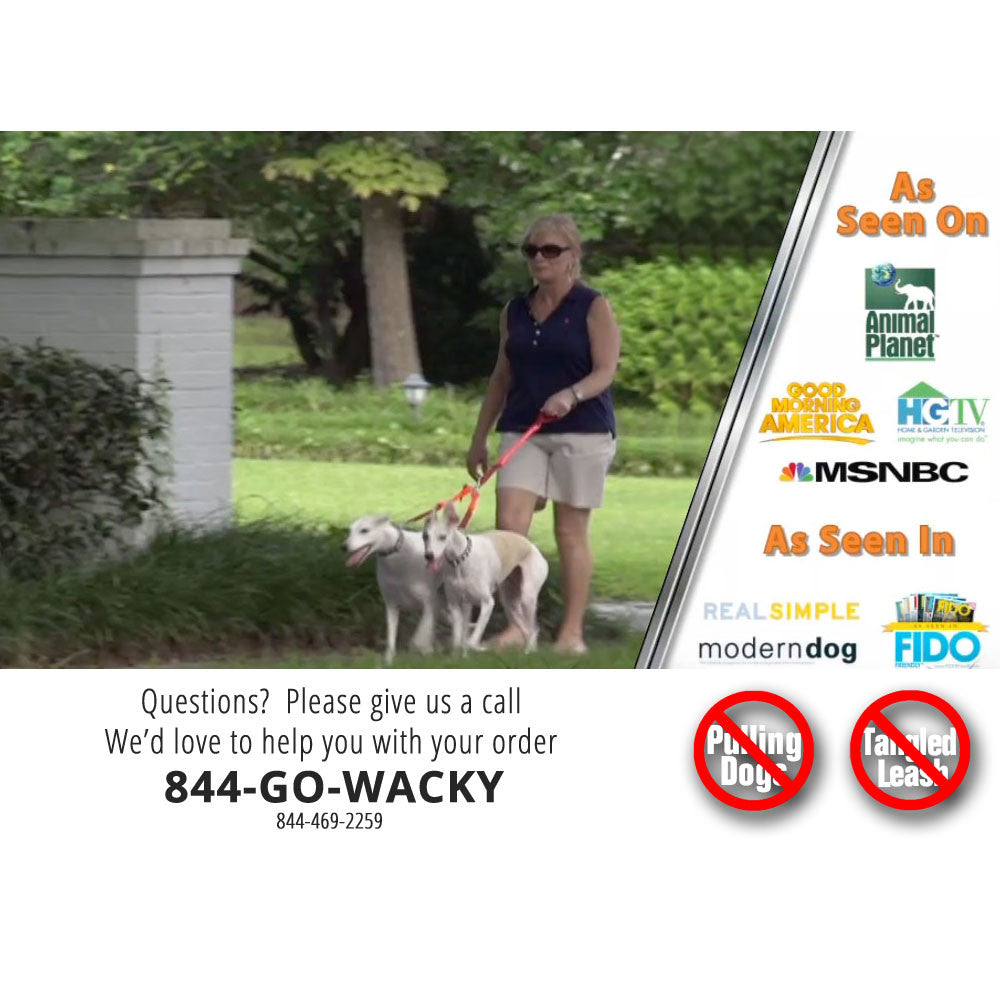 2 Dogs On 1 Leash