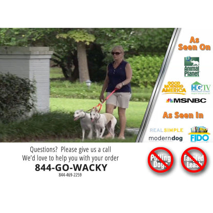 2 Dogs On 1 Leash