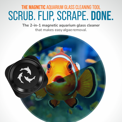 Flipper Pico Black 2-in-1 Aquarium Magnet Cleaner