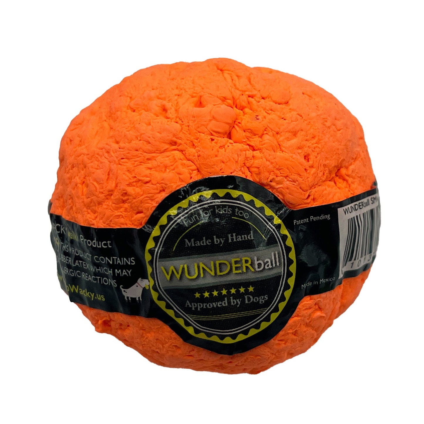 Best Fetch Toy