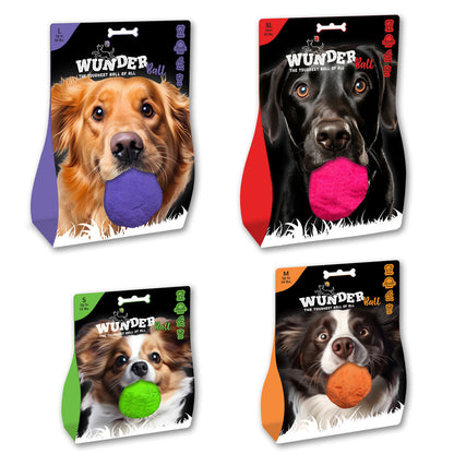 Best Fetch Toy