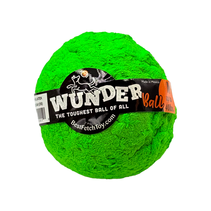 Best Fetch Toy