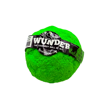 Best Fetch Toy