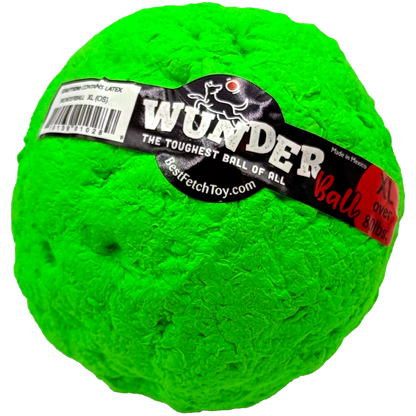 Best Fetch Toy