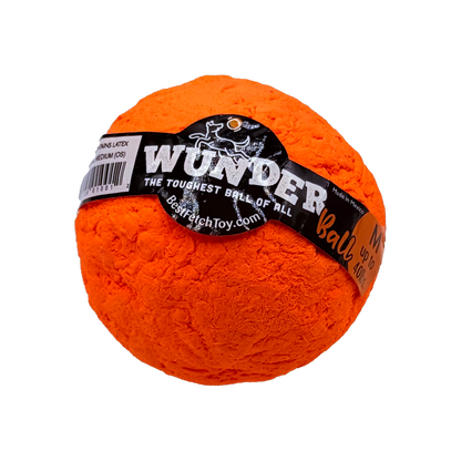 Best Fetch Toy