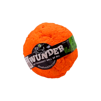 Best Fetch Toy
