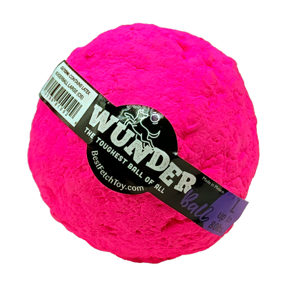 Best Fetch Toy