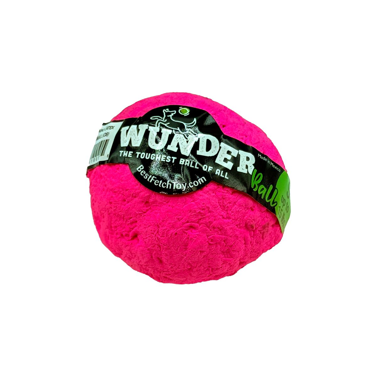 Best Fetch Toy