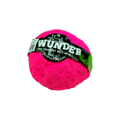 Best Fetch Toy