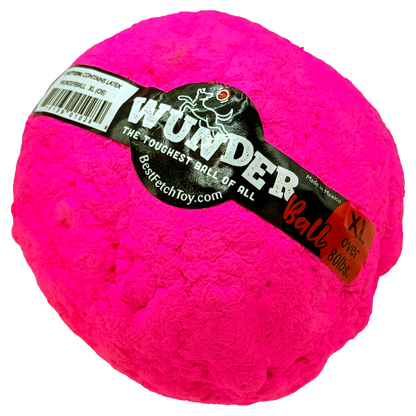 Best Fetch Toy