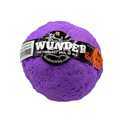 Best Fetch Toy