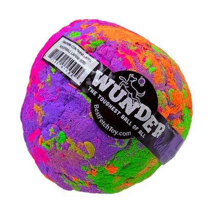 Best Fetch Toy